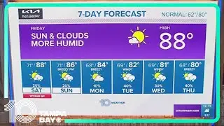 10 Weather: Tampa Bay-area afternoon forecast | Nov. 10, 2023