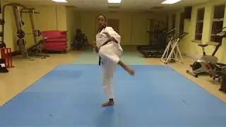 Ashihara Karate Kata Kumite Go by Nasiera Abrahams