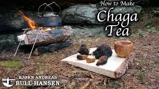 How to Make Chaga Tea | The Cancer Fighting Fungus | Bjørn Andreas Bull-Hansen