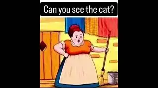 Can you see the cat?