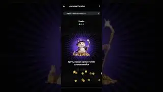 Комбо 3 карты в 5.000.000 монет в Хамстер Комбат | HAMSTER KOMBAT