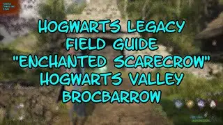 Hogwarts Legacy Field Guide "Enchanted Scarecrow" Hogwarts Valley Brocbarrow