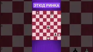 💥ВСЕМОГУЩИЙ КОНЬ #chess #шахматы #chesspuzzle #шахматныезадачи