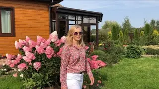 Гортензия Ванилла Фрейз!🍓Уход. Подкормки. Обработки. 🌺Секретов нет!🤗😍Посади!!!😊