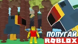 ЗАВЕЛ СЕБЕ ПОПУГАЯ В РОБЛОКС - Roblox Feed your pets!