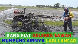 Kang Fiat gelebeg sawah mumpung airnya lagi lancar