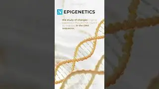 Epigenetics