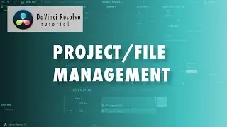 Project Management in DaVinci Resolve | Beginners Tutorial 2024