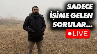 Sadece İşime Gelen Sorular | 6