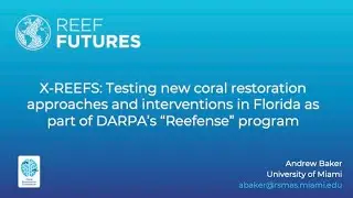 X-REEFS: Testing new restoration approaches & interventions in Florida as part of DARPA’s “Reefense”