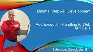 Lesson 8: Add Exception Handling to Minimal Web API Calls