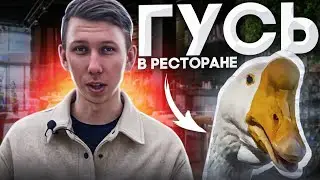 Ресторан с Живым Гусем ! Где поесть в Адлере? Гусь управляющий