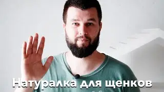 Натуральное питание щенков (на примере Шиба Ину)