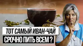 Иван чай удивительные лечебные свойства, есть ли польза, показания и противопоказания