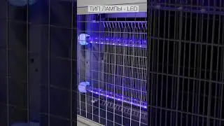 Обзор инсектицидной лампы FROJER PRO XC80-LED