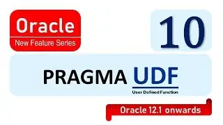 Oracle 12C Pragma UDF Function