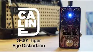 Caline G-001 Tiger Eye Distortion