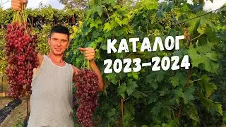 Каталог Максима Мойсеєнко 2023-2024р