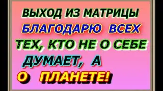 Благодарю всех тех, кто не о себе думает, а о планете и животных! Выход из матрицы!