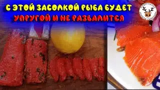Лучший рецепт для упругой рыбы: соление нерки! 😲 Как засолить лосося
