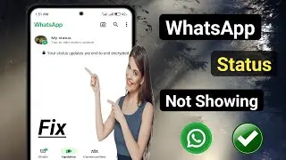 How To Fix WhatsApp Status Not Showing Problem (2024) || WhatsApp Status Option Not Showing