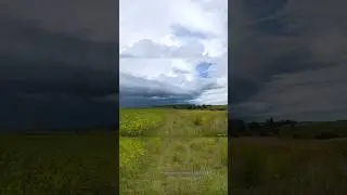 🌩Шкваловый ворот в Московской области, 11 августа 2024 года.