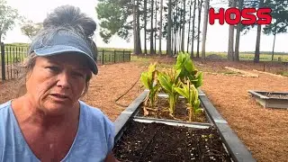 Fall Garden Planting Zone 8 | Potager Garden