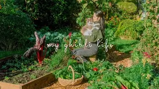 #162 Life in a Ghibli postcard: harvest vegetables and potatoes, mushroom picking, simple recipes..