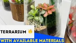 Making a Terrarium with Available Materials 2024 #terarium #indoorplants #craft #terrarium