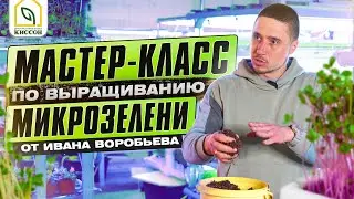 Мікрозелень. Майстер-клас з вирощування мікрозелені від Івана Воробйова.