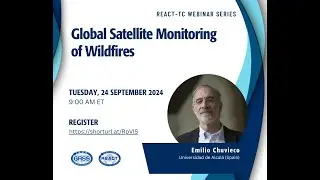 Global Satellite Monitoring of Wildfires
