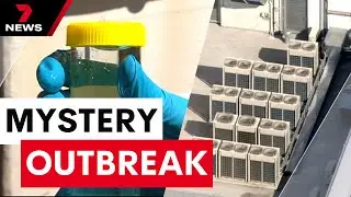 Melbournes mystery Legionnaires outbreak - the urgent investigation to find the source | 7NEWS