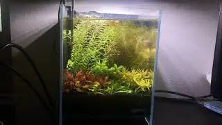 Nano Tank Goodness