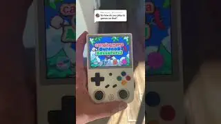 How Do Nintendo DS games work on the 