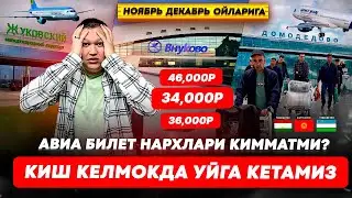 АВИА БИЛЕТ НАРХЛАРИ КИММАТЛАДИМИ? КИШ КЕЛДИ УЙГА КАЙТАМИЗ НОЯБРЬ ДЕКАБРЬ ОЙЛАРИГА 46,000₽ 34,000₽