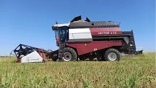 Комбайн Vector-410 /УБОРКА ЯЧМЕНЯ\