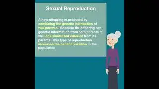 Quick overview of  the advantages and disadvantages of sexual reproduction through meiosis