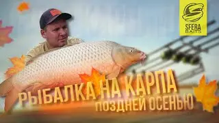 Ловля карпа поздней осенью. Водоем Карплидер. Прикормка и насадка по холодной воде.