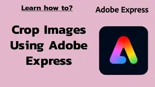 How to Crop Any Image or Element on Adobe Express? Cut Any Image or Element on Adobe Express 2024