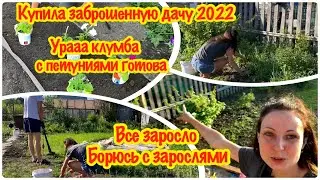 #22 КУПИЛА ЗАБРОШЕННУЮ ДАЧУ/ПРИВОЖУ В ПОРЯДОК ЗАРОСШИЙ  УЧАСТОК/ГЕНЕРАЛЬНАЯ УБОРКА ТЕРРИТОРИИ