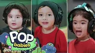 Baa Baa Black Sheep + More Nursery Rhymes| Studio Play Non- Stop Compilation | Pop Babies