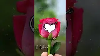 B. Art Letter Name status❣️||New Trending Art Name❣️Status whatsApp ||2024 #nameartvideo