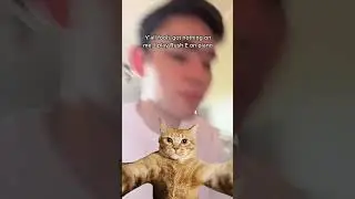 When a pianist attempts the TikTok Cat filter