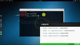 Video 10: Creating directories | Kali Linux Tutorial For Beginners
