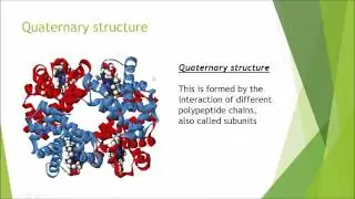 Biochemistry and Cell Biology: Amino acids and proteins