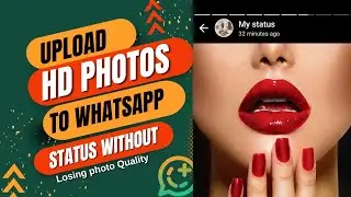 Upload HD photos to WhatsApp status without losing  quality.