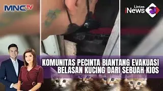 Komunitas Pecinta Biantang Evakuasi Belasan Kucing dari Sebuah Kios - LIP 02/11