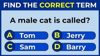 Vocabulary Challenge: Find The Correct Term! 