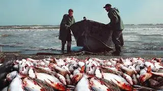 One Day of Fishermen in CASPIAN SEA | Extremal Fish Catching Scenes | DOCUMENTARY