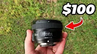 The Budget Nikon Lens You Need to See to Believe
